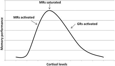 High Cortisol and the Risk of Dementia and Alzheimer’s Disease: A Review of the Literature